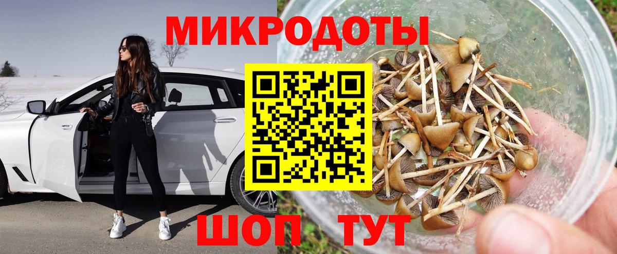 Галлюциногенные грибы Psilocybine cubensis  купить наркотики сайты  Кострома  Вход с VPN  Галлюциногенные грибы прущие грибы 