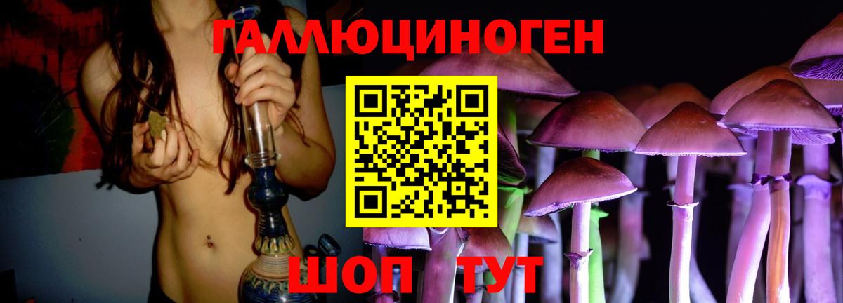 Галлюциногенные грибы Cubensis Кострома
